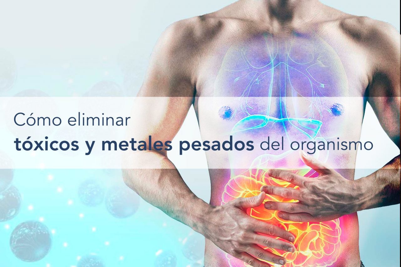 Qu Son Los Metales Pesados C Mo Afectan A La Salud Nytia S Coop