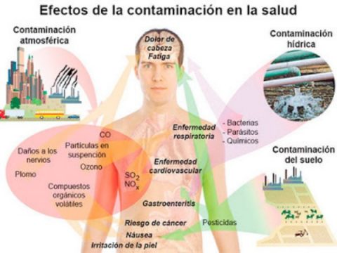 ¿Qué son los metales pesados? ¿Cómo afectan a la salud? - Nytia S Coop ...
