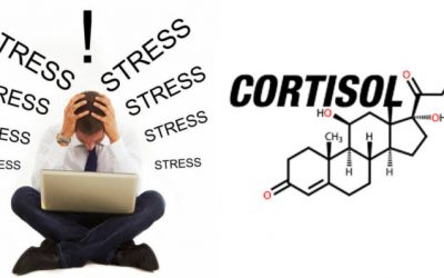 ¿Qué le pasa al cuerpo cuando tienes exceso de cortisol?
